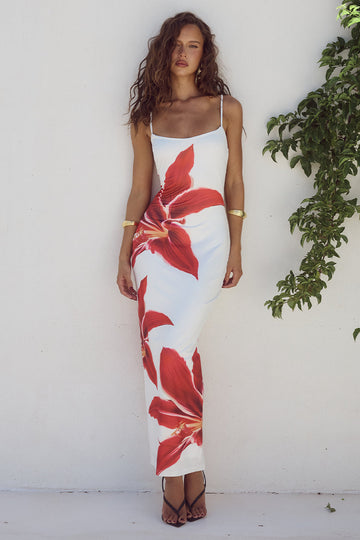 Lysandra Maxi Dress Lily Print